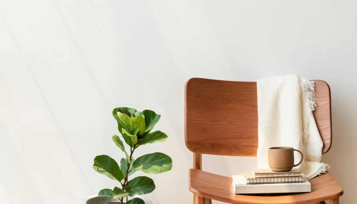 טפט מעוצב לבית